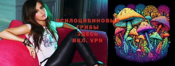 герыч Козельск