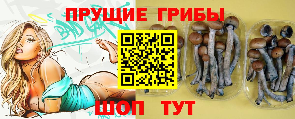 Псилоцибиновые грибы мухоморы  Вход с VPN  Партизанск 